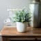 Flora Bunda® 6" Eucalyptus Plant in Ceramic Texture Planter
